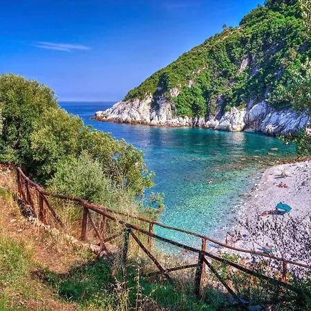 Zina Agios Dimitrios * Агиос-Димитриос
