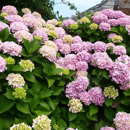 Διαμέρισμα Zina