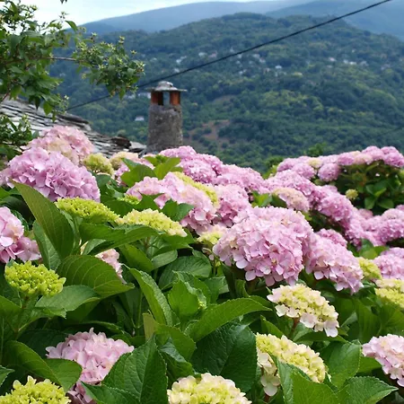 Zina Agios Dimitrios *