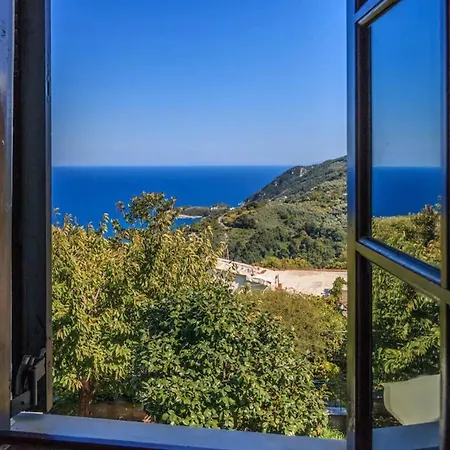 Zina Agios Dimitrios *