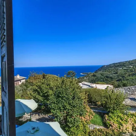 Zina Διαμέρισμα *