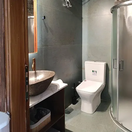 Zina Apartament *