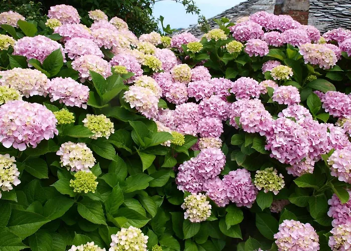 Διαμέρισμα Zina